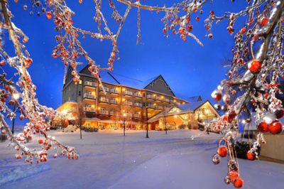 Zimní Krajina Hotel - wallpaper preview
