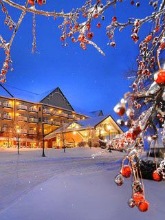 Zimní Krajina Hotel - wallpaper preview