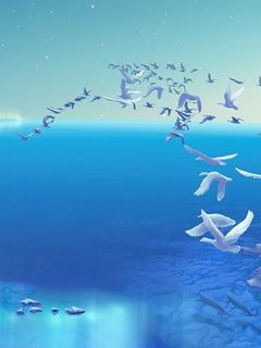 Pokojný oceán s létajícími ptáky - wallpaper preview