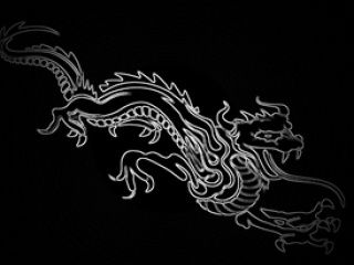 Elegant Dragon Illustration