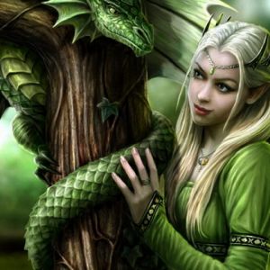 Fantastická Elfka s Drakem