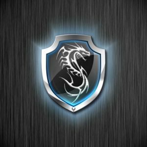 Logo draka na štítu