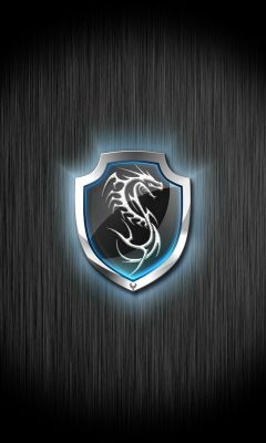Logo draka na štítu