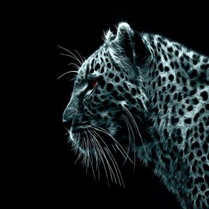 Zářící Profil Leoparda
