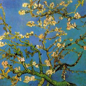 Mandlový květ Vincenta van Gogha