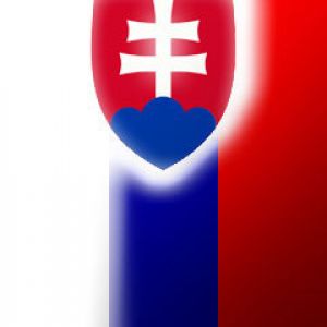 Design slovenské vlajky
