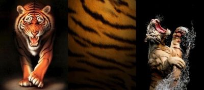 Majestátní Tiger Art - wallpaper preview