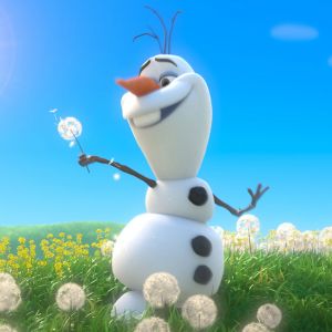 Olaf na květinovém poli