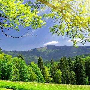 Zelená Krajina