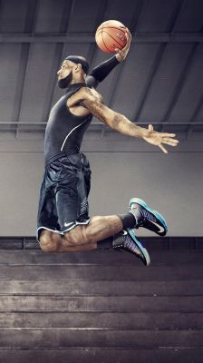 LeBron James Dunk