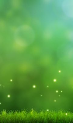 Zelené Přírodní Pozadí - wallpaper preview