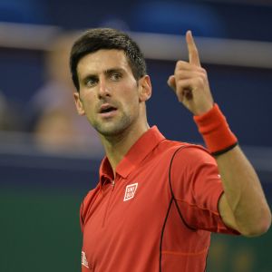 Novak Djokovic Tenisový Šampion