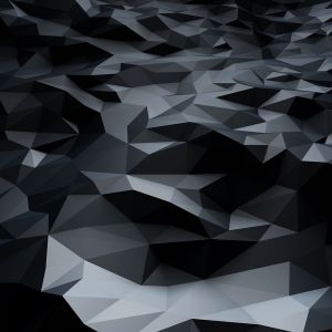 Geometrický Černý a Šedý Vzor